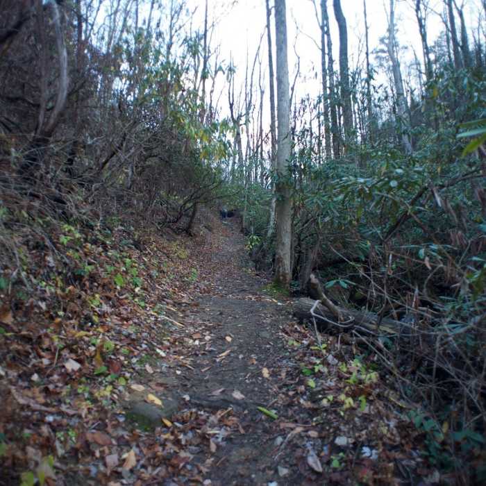 Near Baskins Creek Trail