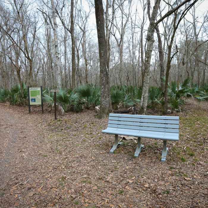 Near Ring Levee Trail