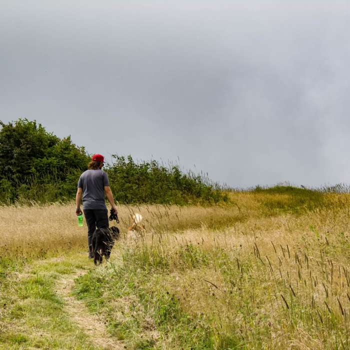 Near Huckleberry Knob Near Huckleberry Knob
