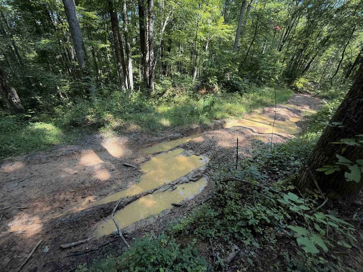 Short Ridge Trail photo 6