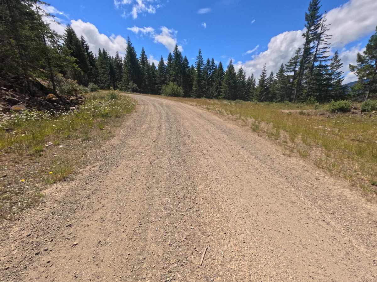 Purcell Creek - FS 4610000 photo 6
