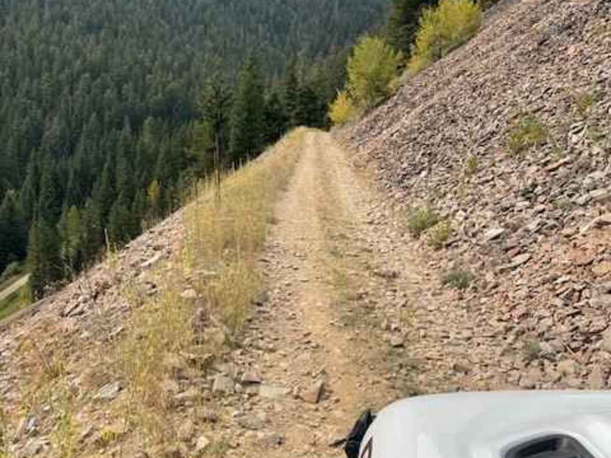 Bulldozer Road photo 2