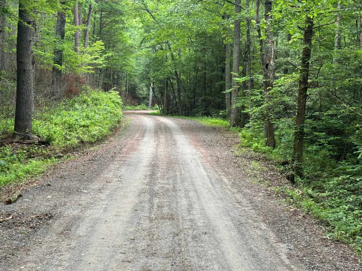 Evans Creek - FS 4621 photo 6