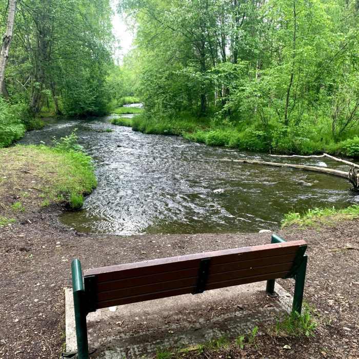 Near Chester Creek Trail