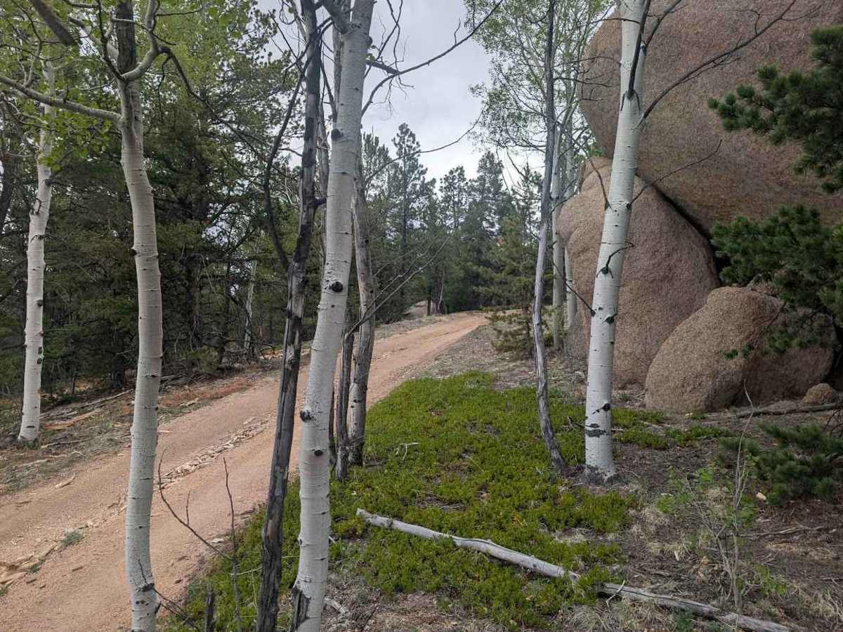 Hell Creek Road photo 4