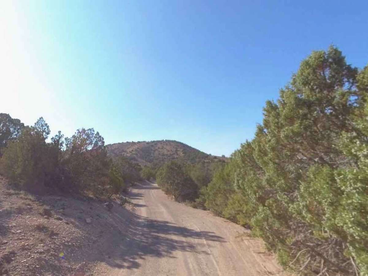 Bell Rock - PST40 photo 6