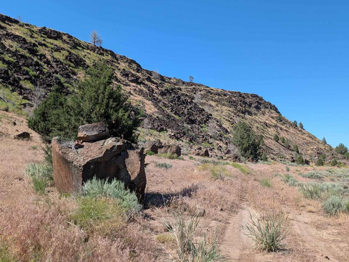 Barntop - FS 47N14 trail photo