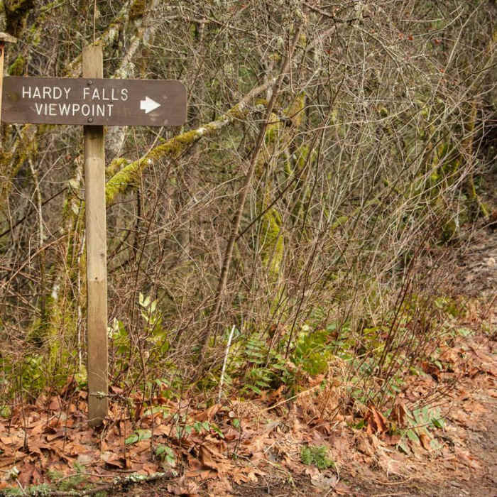 Near Hamilton Mountain Hike