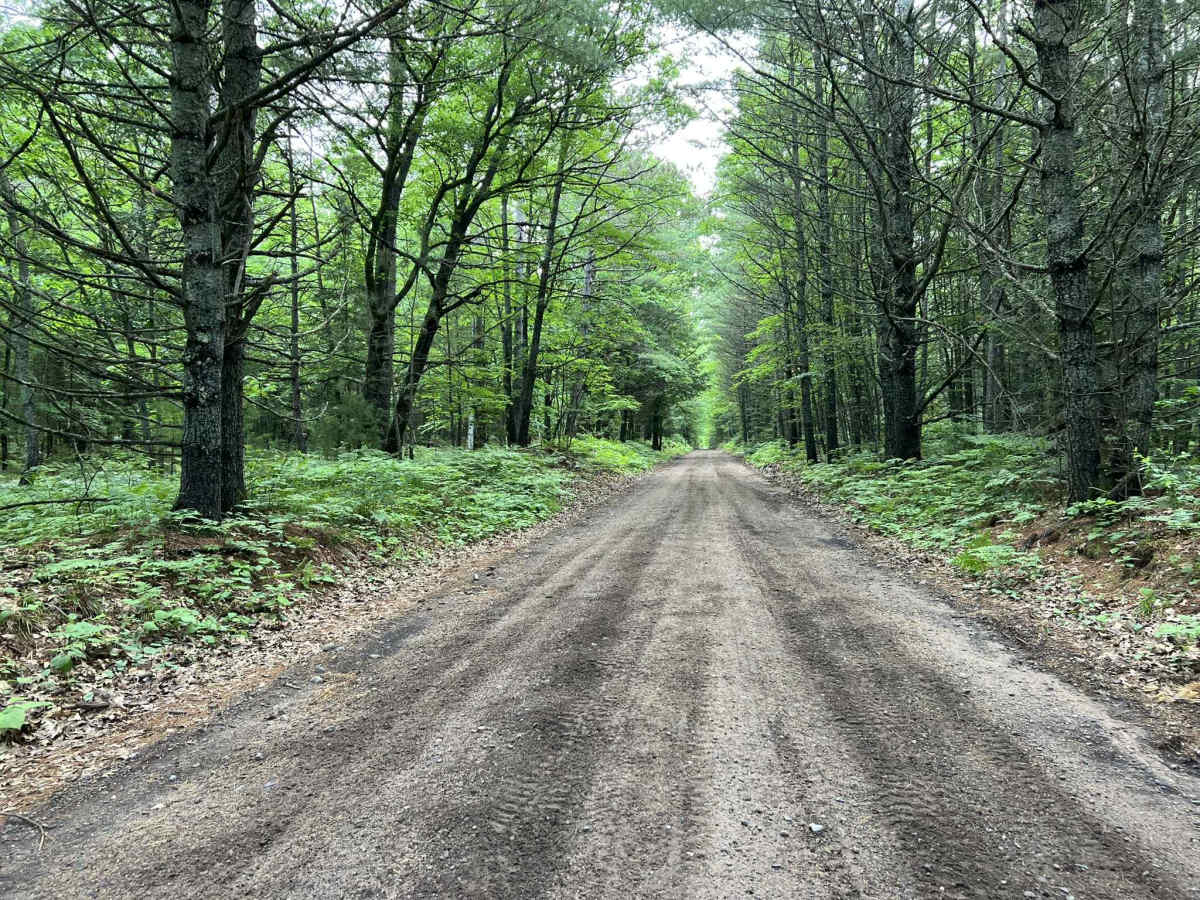 Gogebic County MI Trail LL/3 photo 5