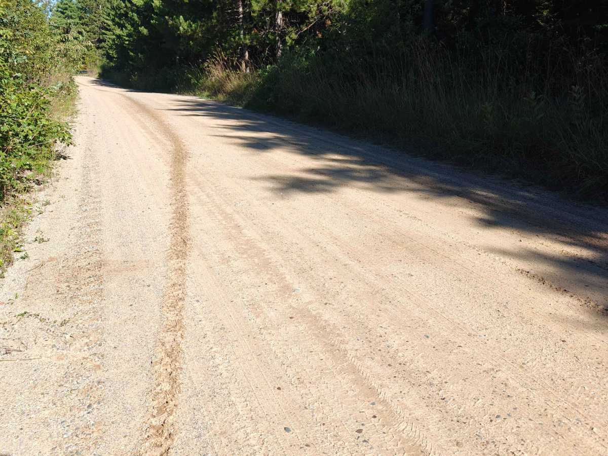 Grass Lake Road photo 2