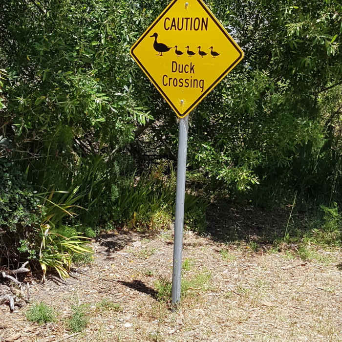 Near Richmond Marina Bay Trail