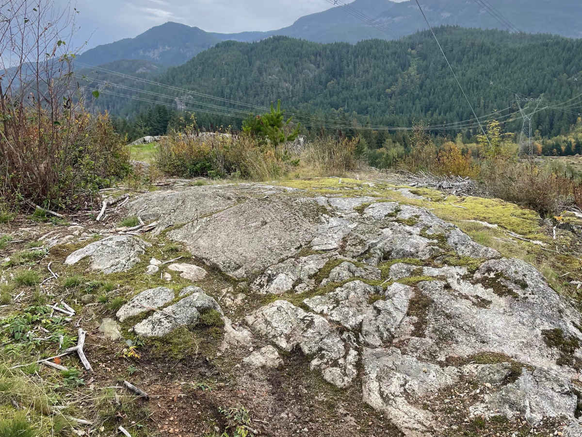 View Point photo 5