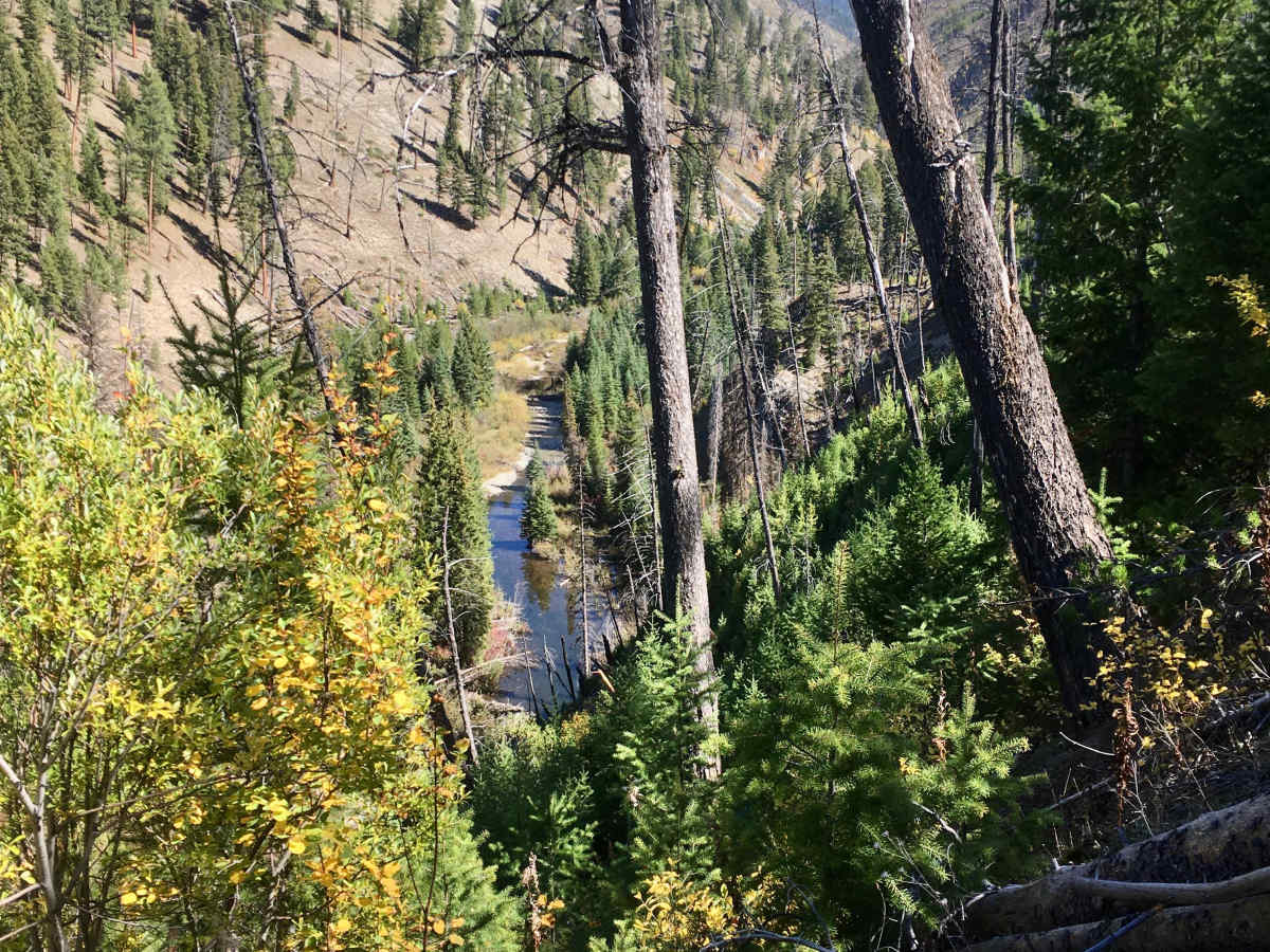 Overwhich Creek ATV Trail photo 4
