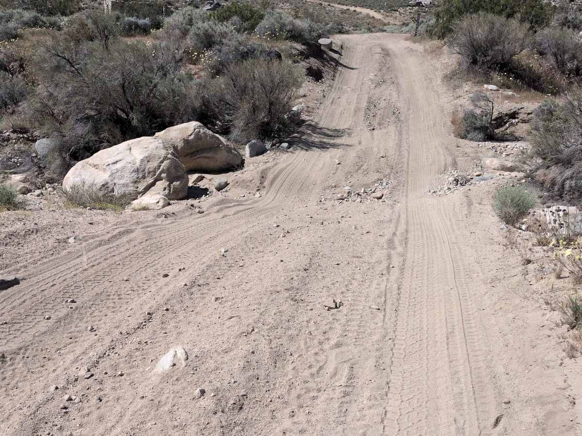 BLM SC82 trail photo