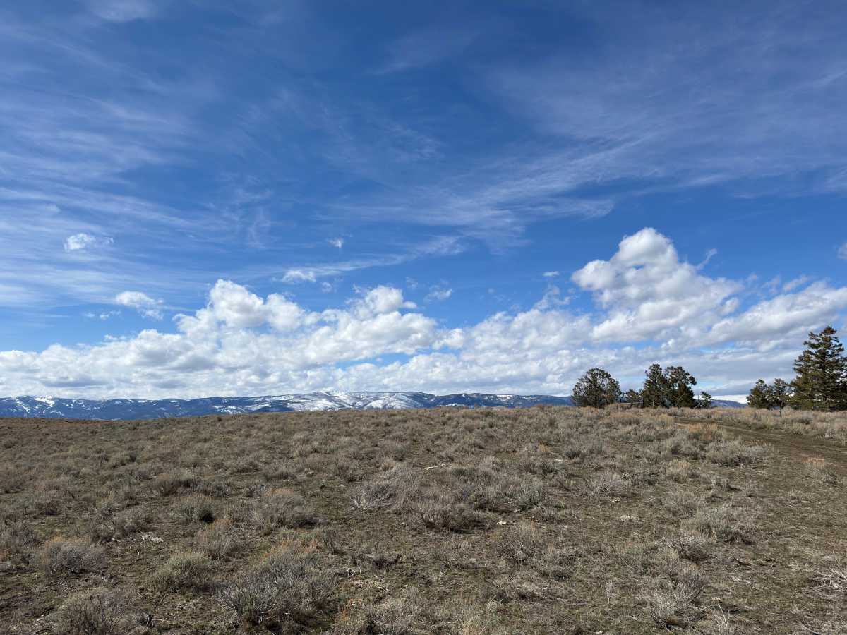 BLM Trail 139 photo 5