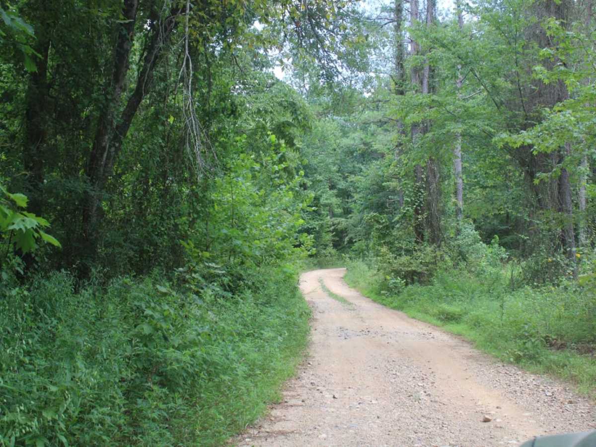 Two Mile Road photo 4