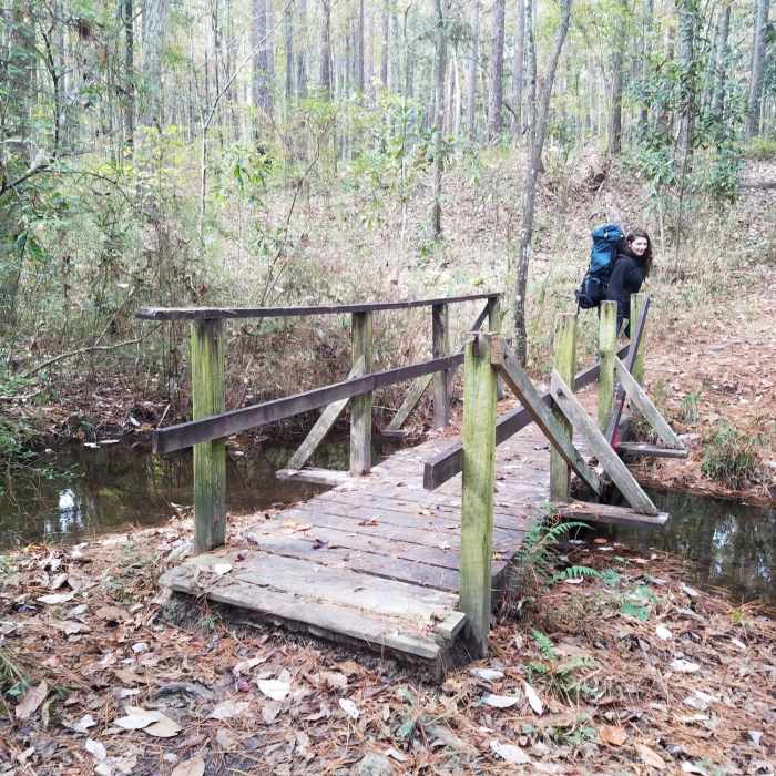Near Wild Azalea Spur and Kincaid Loop