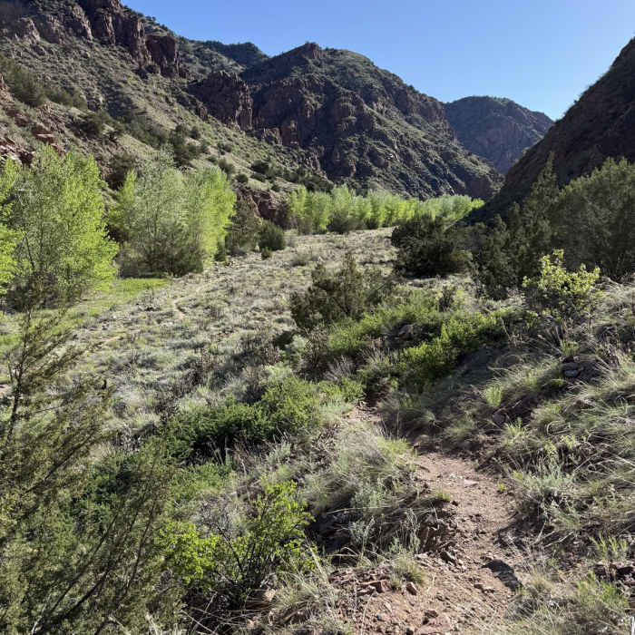 Near The Temple Trail