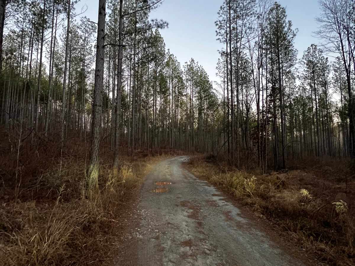 Etowah River Access photo 4