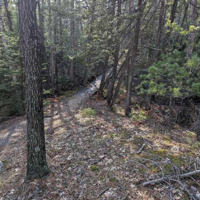 Near Lost Twin Lakes Pathway