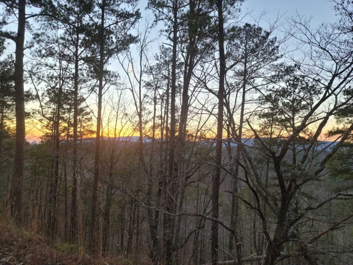 USFSR #530 trail photo