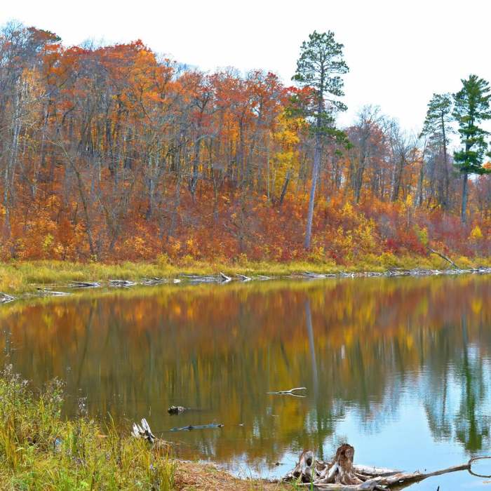 Near Aiton Heights Fire Tower Near Aiton Heights Fire Tower