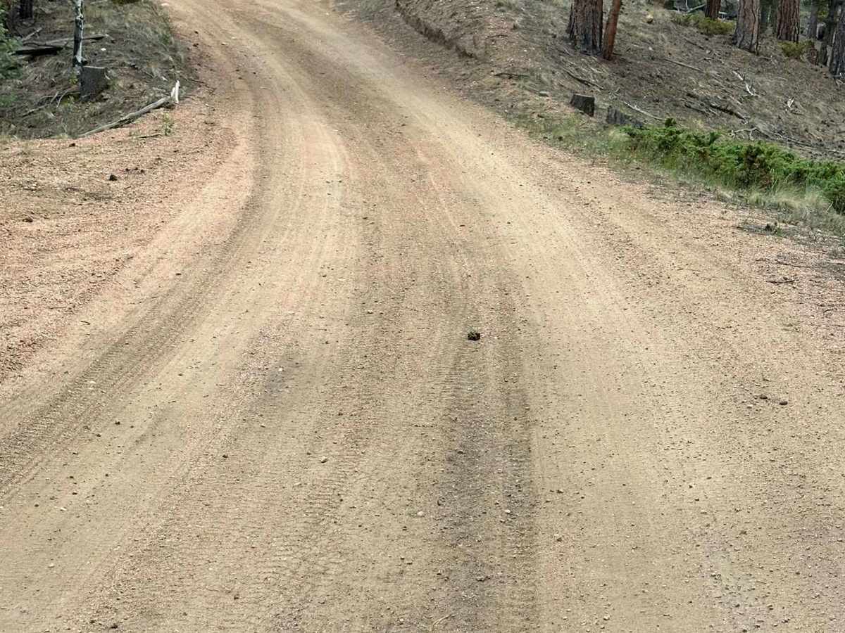 Original Road photo 3