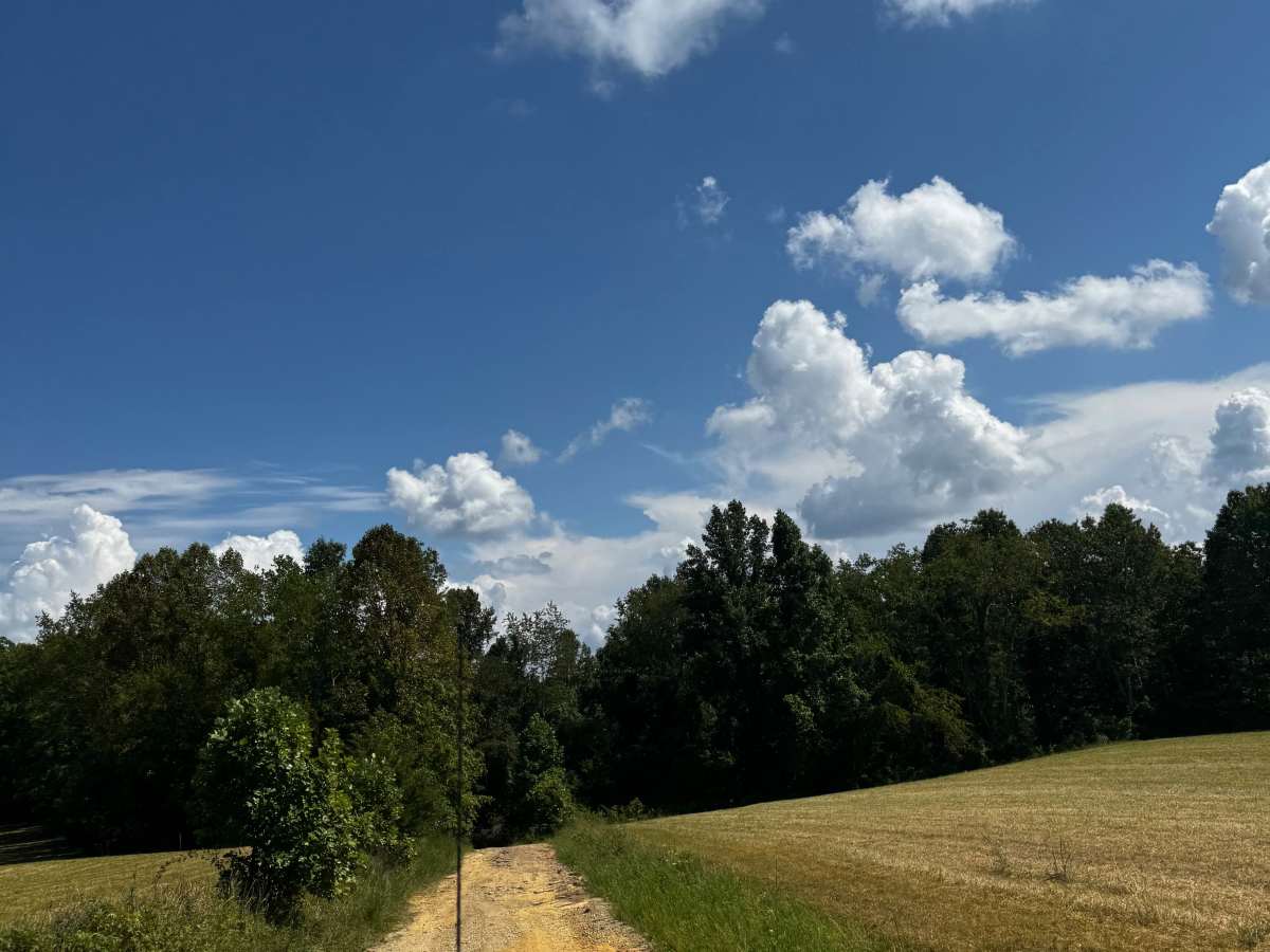 JC Trail 1 photo 3