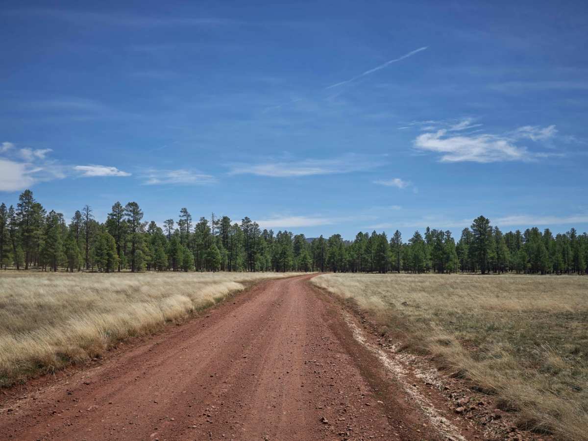 Sheep Springs Road photo 3