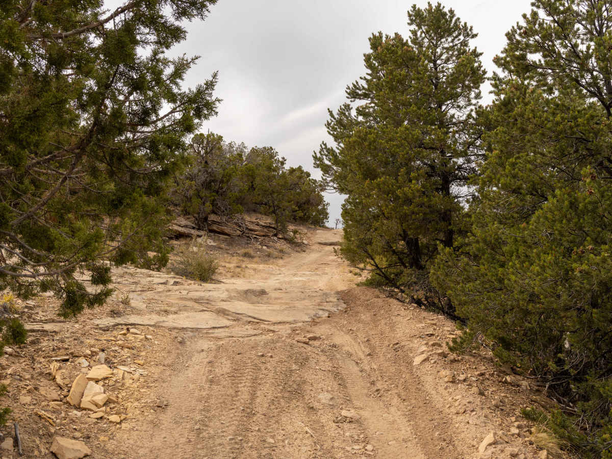 Little Dolores Canyon photo 2