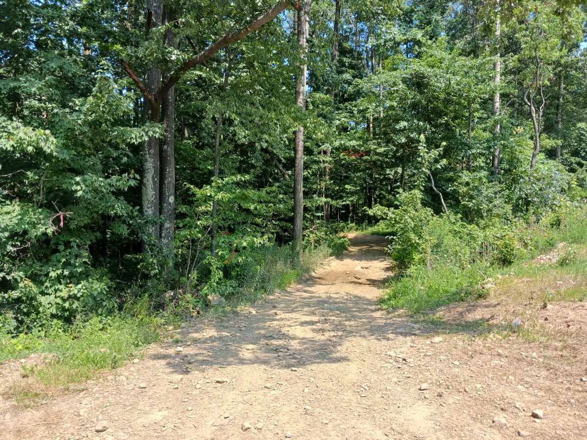 Gobbler Ridge - Rock Run Recreation Area photo 3