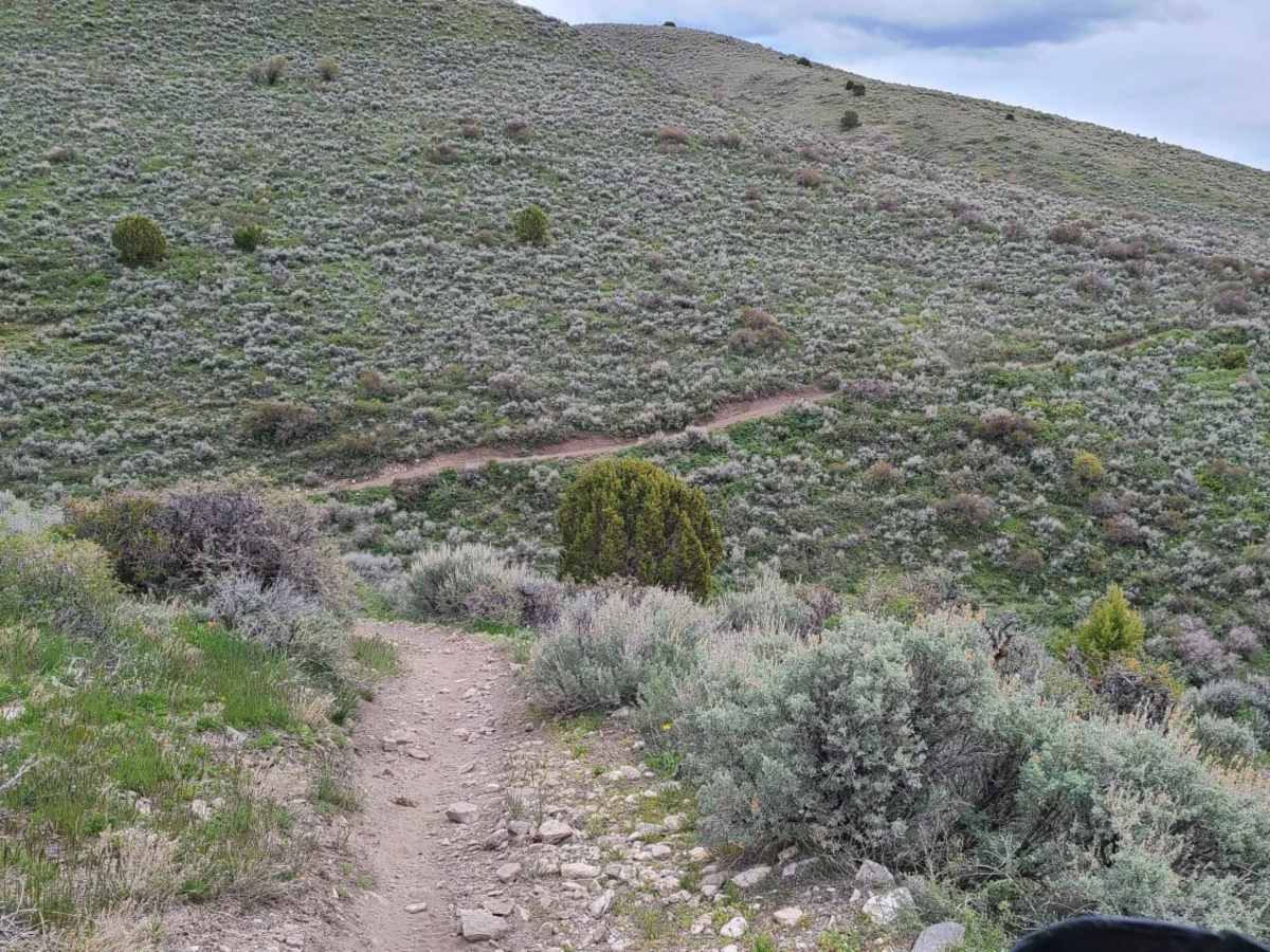 Malad Loop trail photo