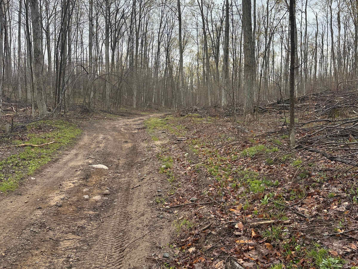 Hayesego Loop Around  photo 5