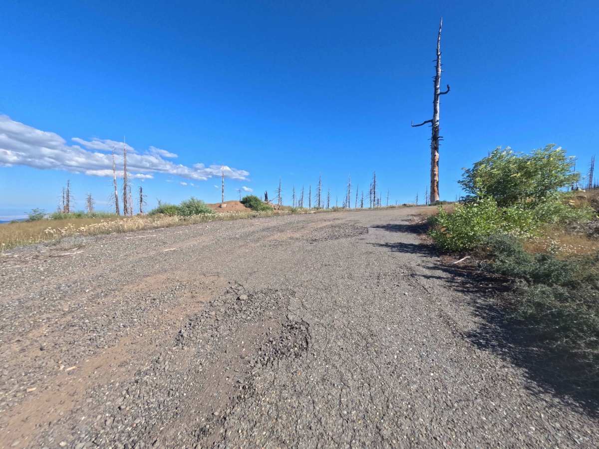 Boundary Road - FS 22N26 photo 6