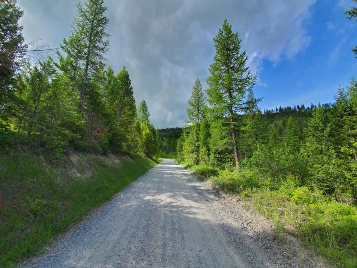 Patrick Creek to Emmons Creek photo 5
