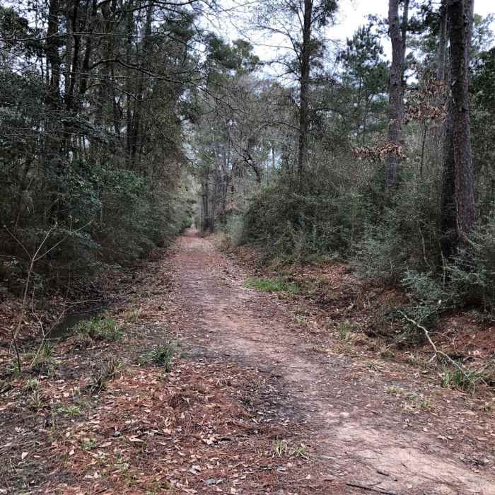 Near South Boundary Road