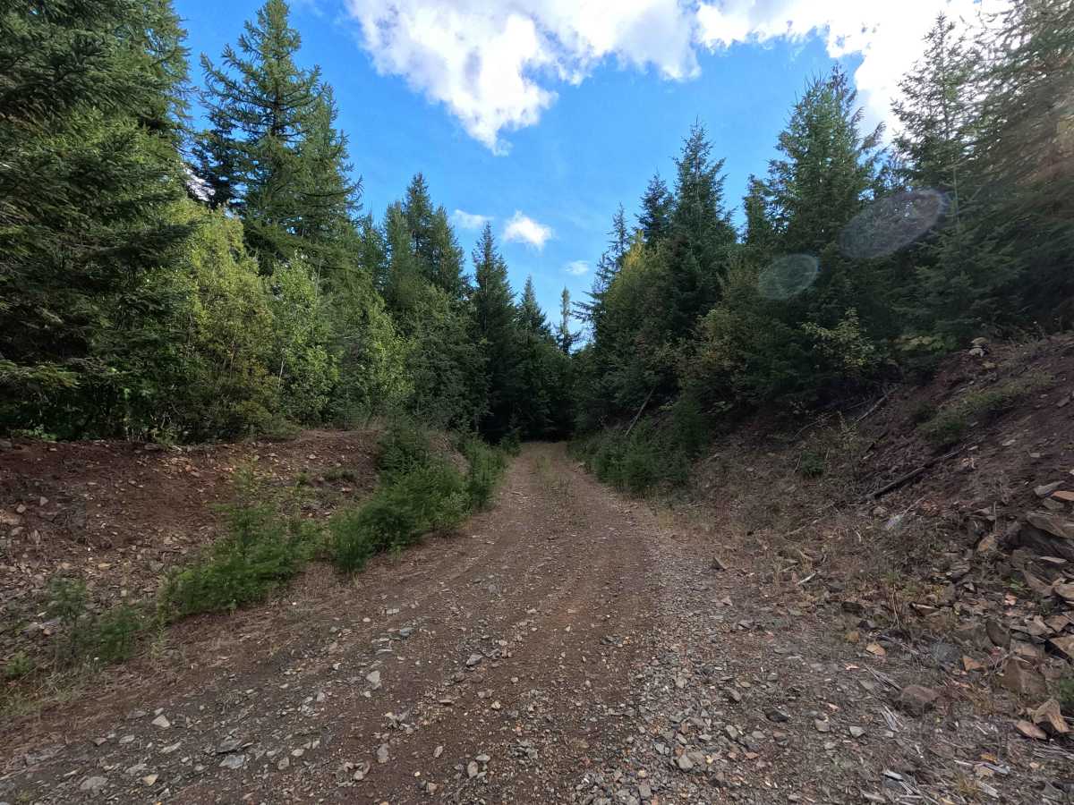 Ole Creek P - FS 1092P photo 5