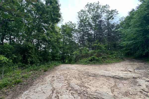 Q65 - Horsemill Hollow