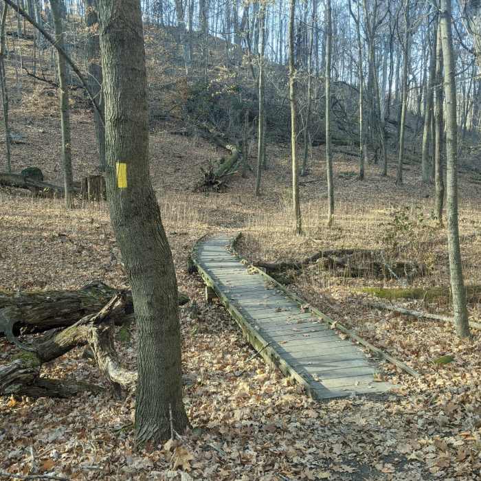 Nice footbridge Near Kame Loop Trail