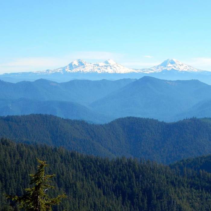 Near Tidbits Mountain