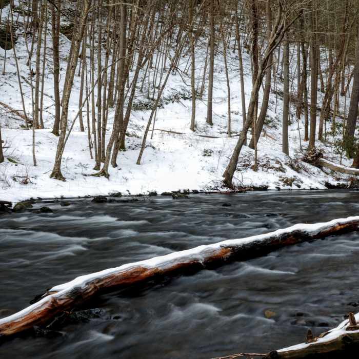 Most only experience the cascades when visiting Raymondskill Falls, but taking a walk off the beaten path to view the creek downstream is rewarding in and of itself. Near Hackers Trail