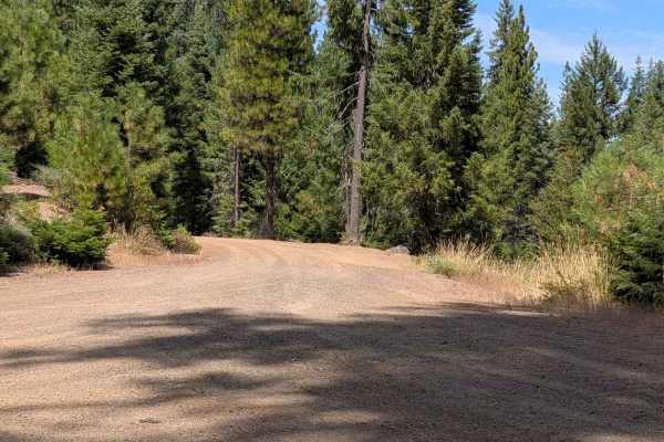 Halfway Ridge Road - FS 3N22 
