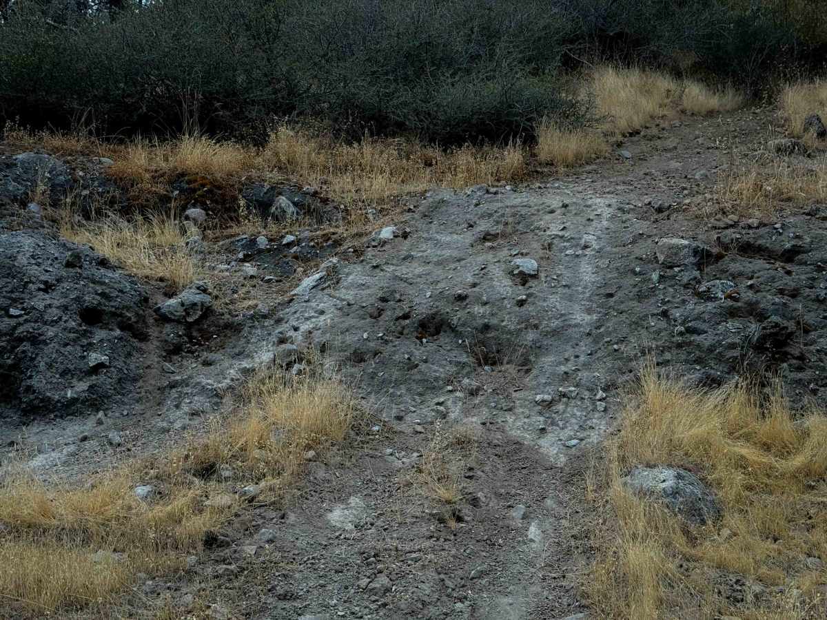 15EV64 trail photo