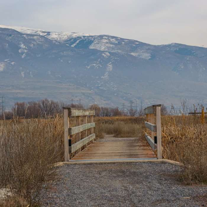 Near Farmington Bay Nature Trail Near Farmington Bay Nature Trail