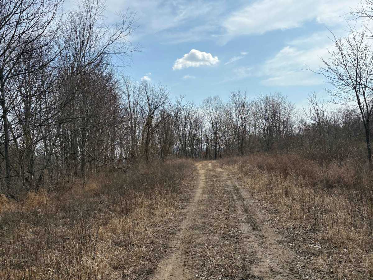 Trail 5 photo 2