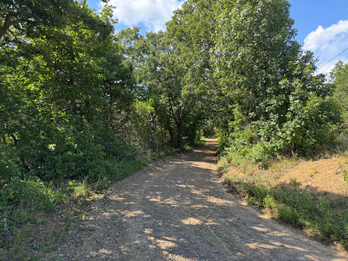 Gene - FS 4406 trail photo