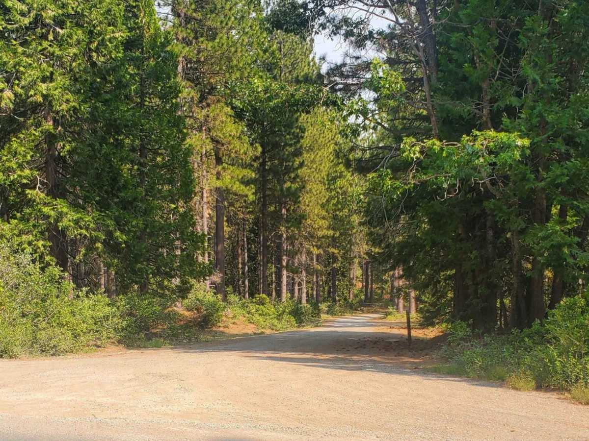 Mitchell Mine trail photo