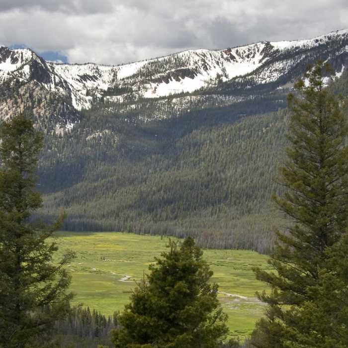 Near Elk Meadow + Elizabeth Lake