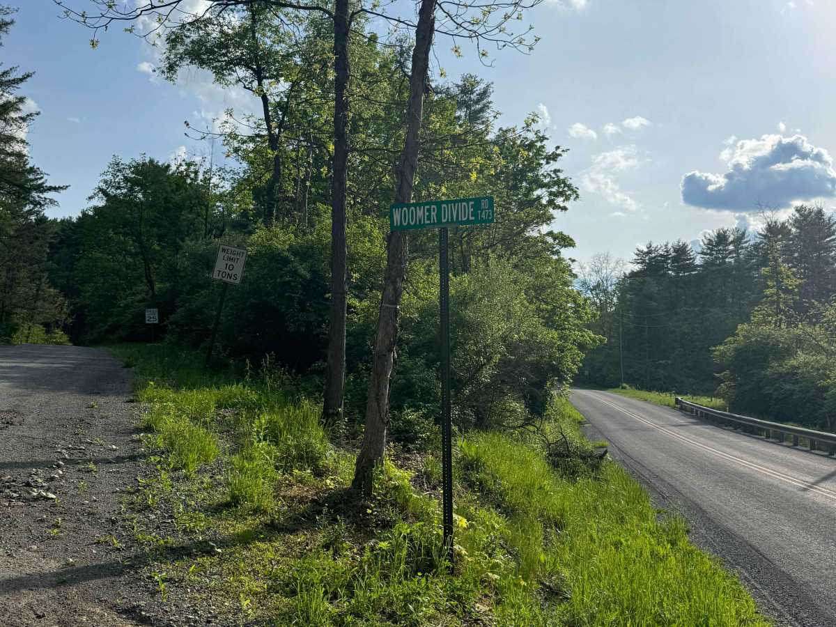 Woomers Divide Road trail photo