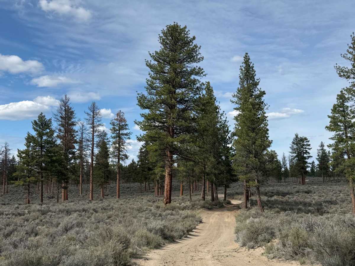 Backway to Hole-in-the-Ground from Flat Top photo 4